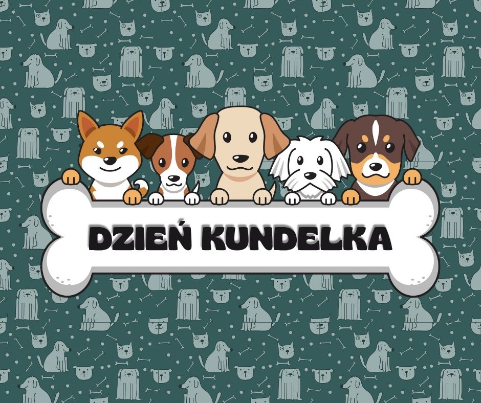 🐾 Dzień Kundelka w naszym oddziale przedszkolnym 🐾
