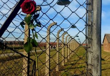 Wizyta klasy VIII w Muzeum Pamięci Auschwitz